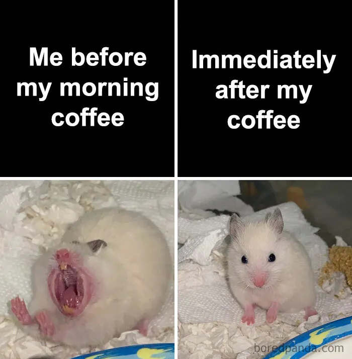 Before and After Coffee