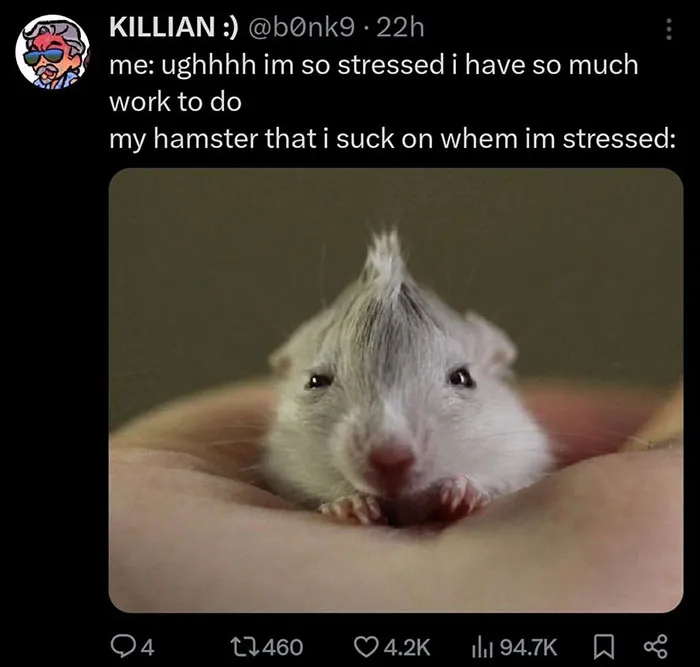 “My Hamster When I'm Stressed”