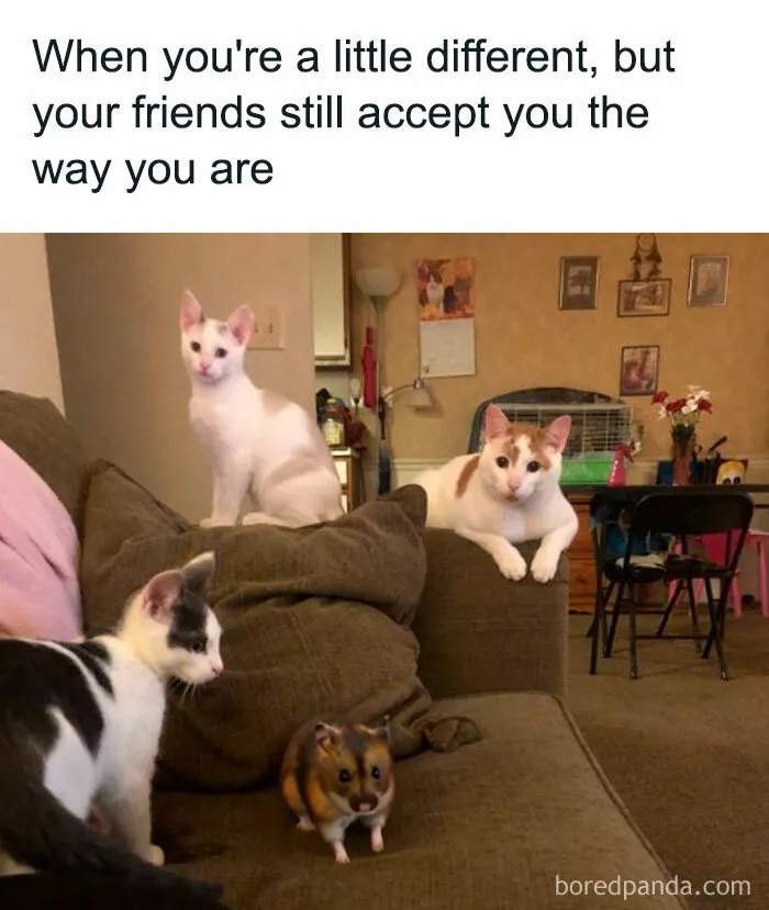 “When Your Friend Accepts That You’re Different”