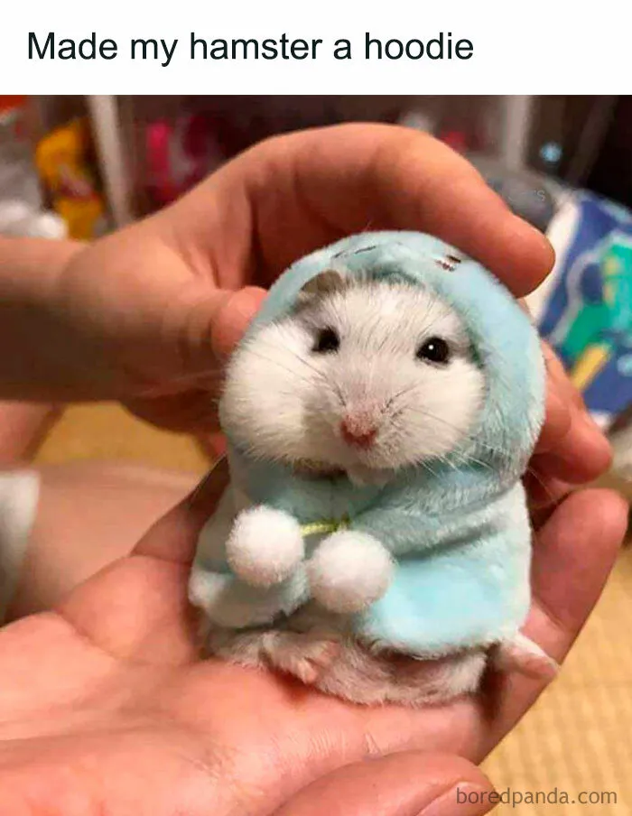Hamster Hoodie