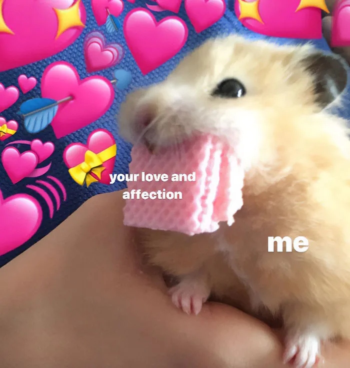 Nibbling Up “Your Love and Affection”