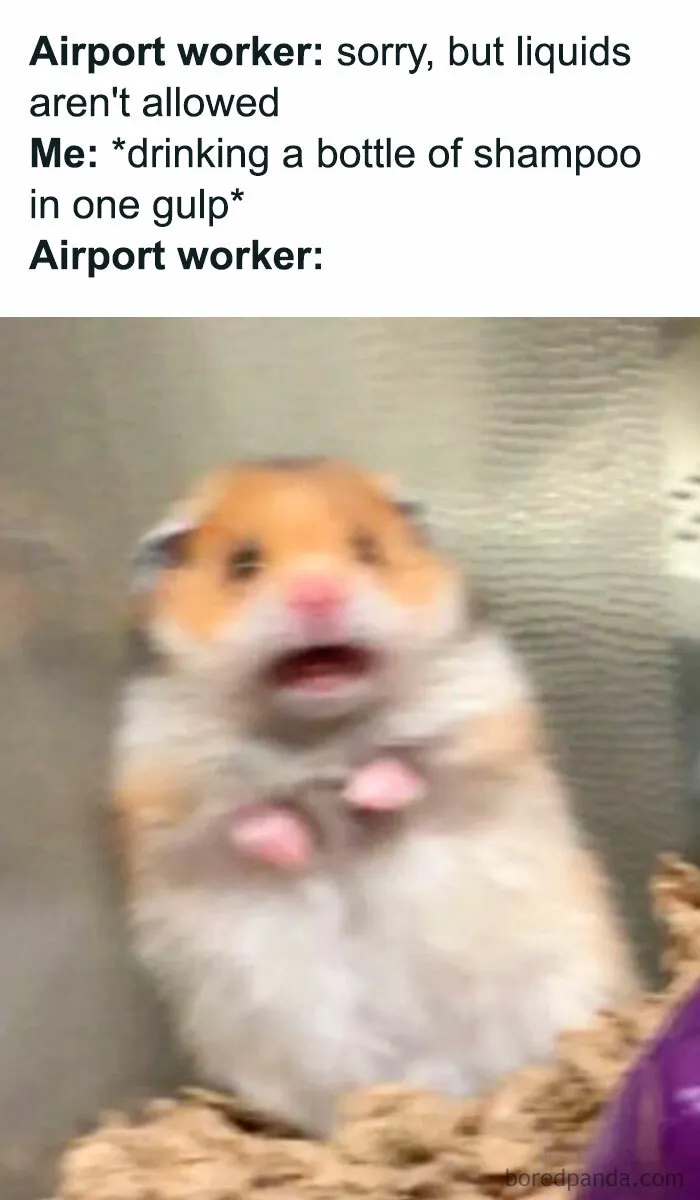 Hamster Reactions