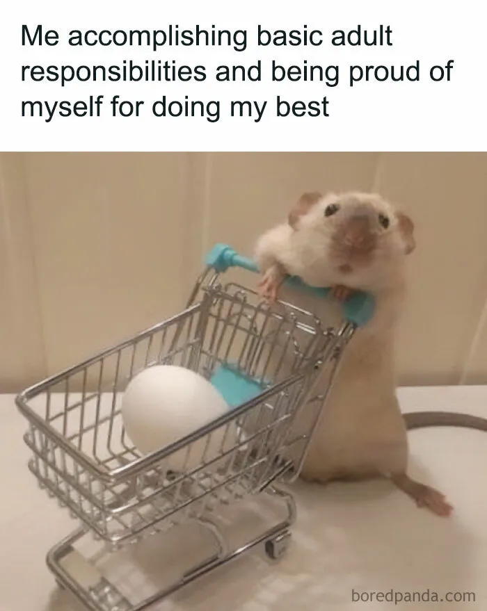 Adult Pride