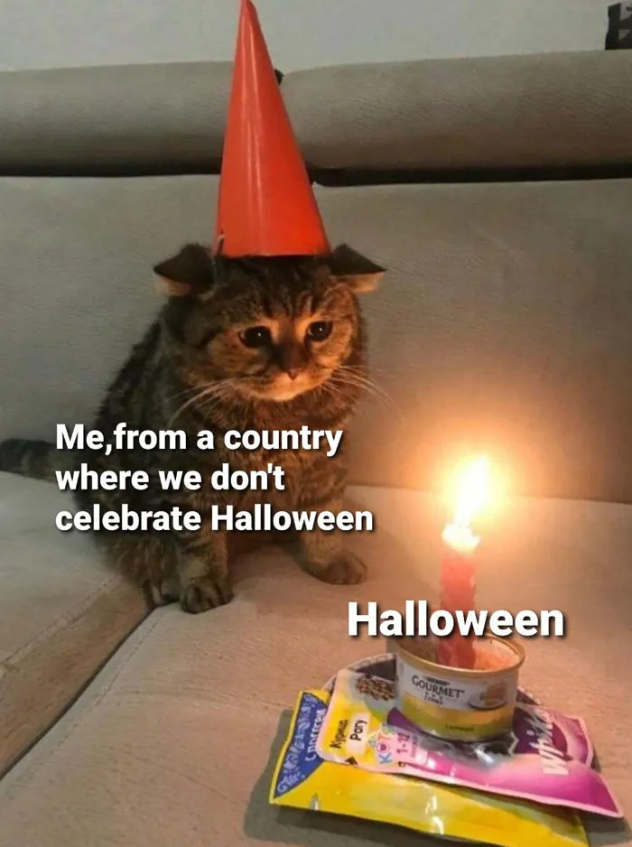 Cat wearing a party hat looking at a candle on cat food, with Halloween meme text overlaid.