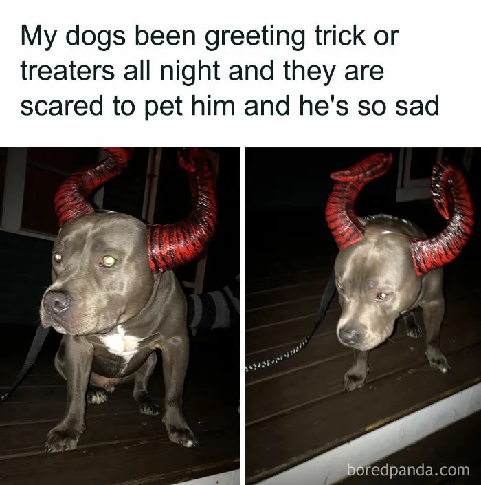 Sad Welcome Party