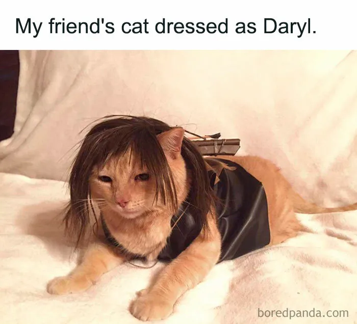 Cat dressed in a Halloween costume with a wig and outfit, lying on a white blanket.