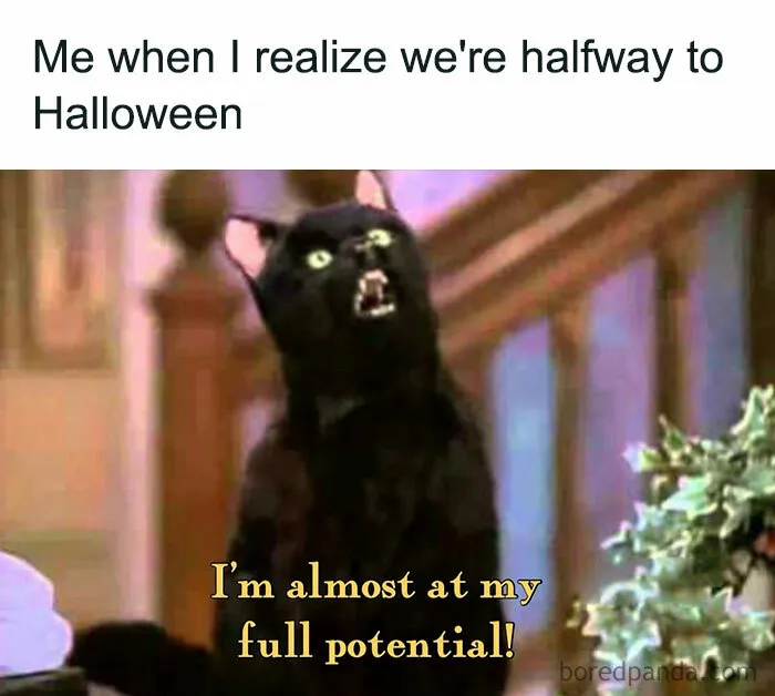 “Halfway to Halloween”