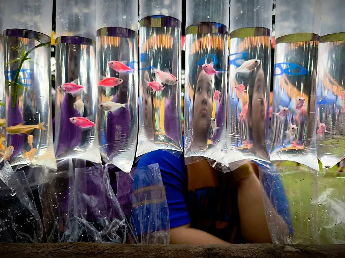 Preserving Life’s Fleeting Moments: 30 Photographs By Hersley-Ven Casero