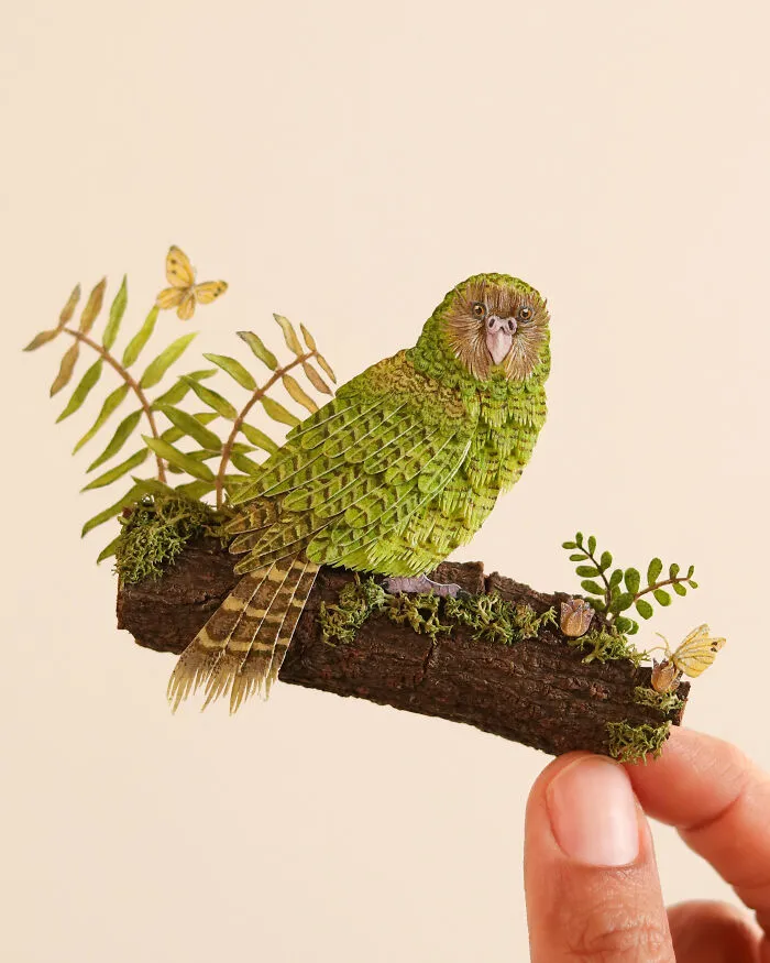Kākāpō