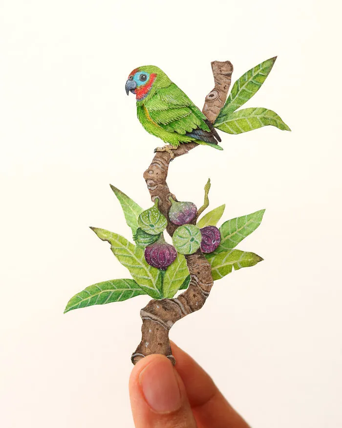 Double-Eyed Fig Parrot