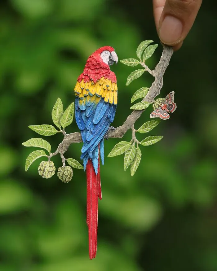 Scarlet Macaw