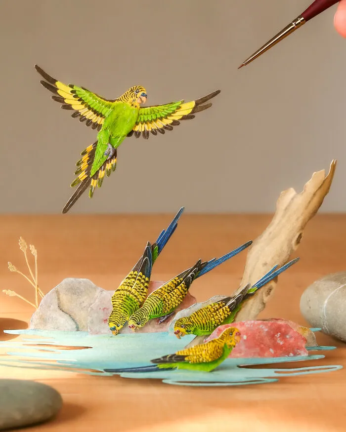 Budgie