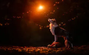 I’m A Photographer Who Captured 20 Spooky Yet Enchanting Dog Portraits