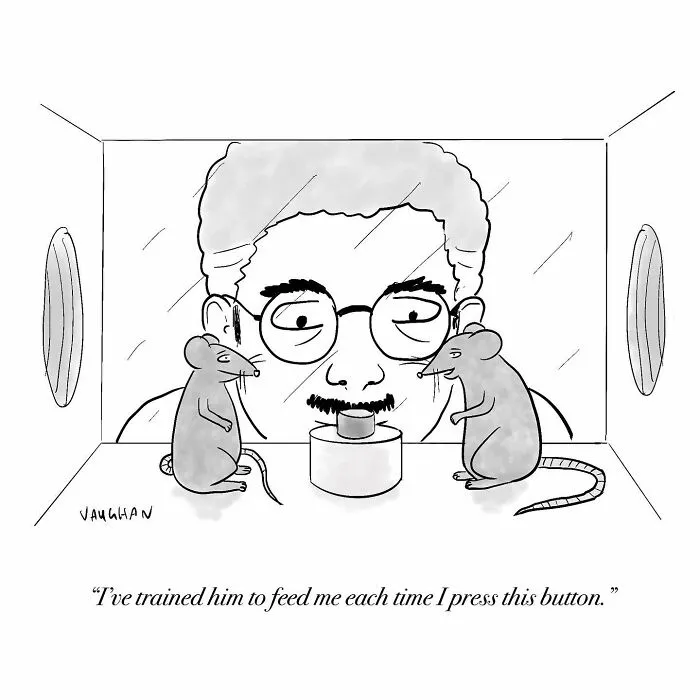 30 Clever Observational Comics By Vaughan Tomlinson That Might Make You Laugh (New Pics)