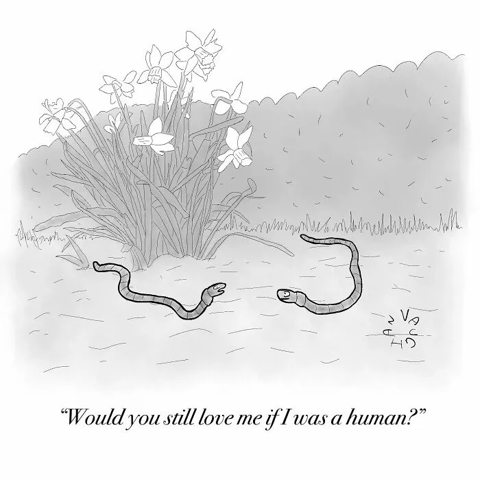 30 Clever Observational Comics By Vaughan Tomlinson That Might Make You Laugh (New Pics)