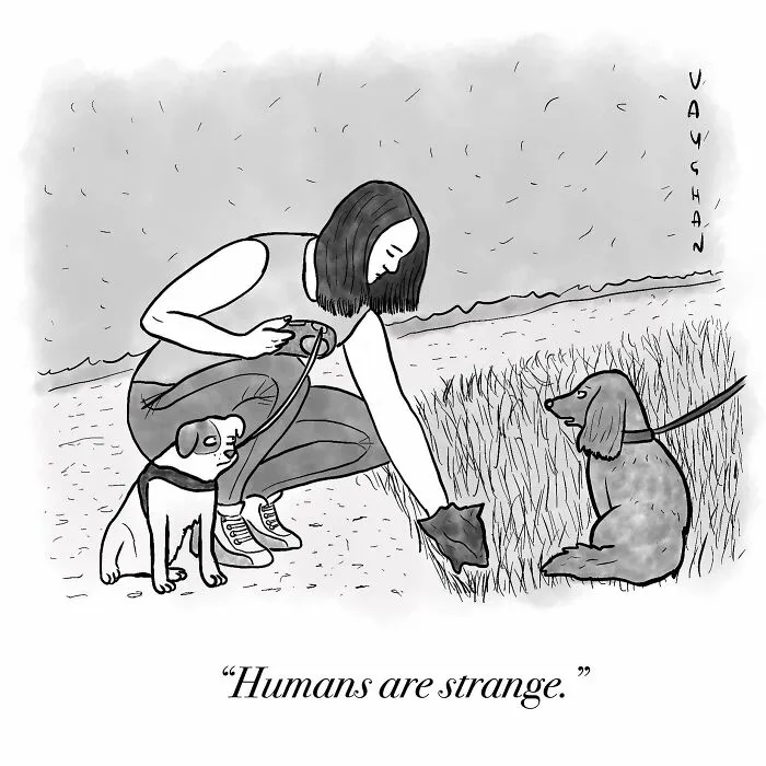30 Clever Observational Comics By Vaughan Tomlinson That Might Make You Laugh (New Pics)