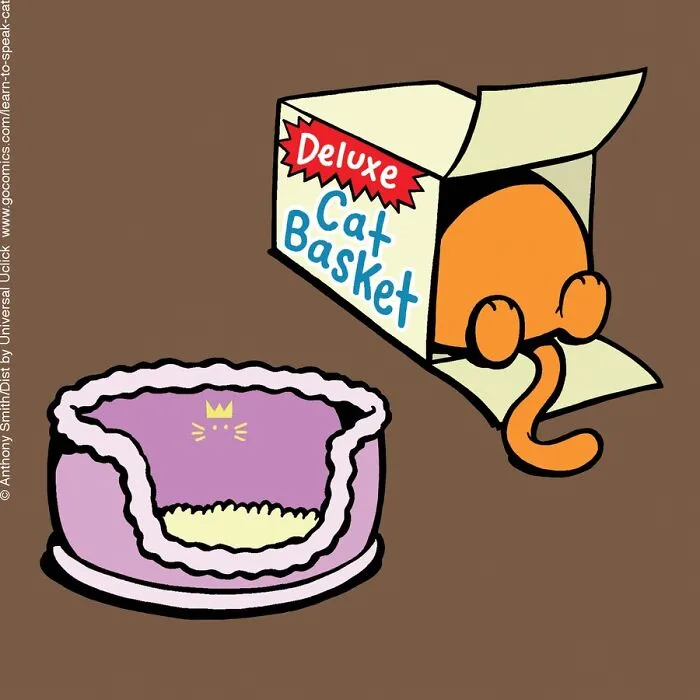 "Learn To Speak Cat": 30 One-Panel Comics Depicting The Daily Life Of A Cat