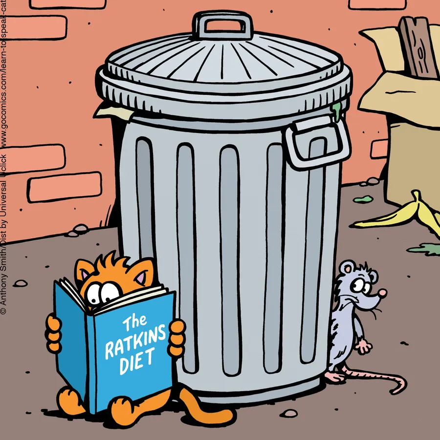 "Learn To Speak Cat": 30 One-Panel Comics Depicting The Daily Life Of A Cat