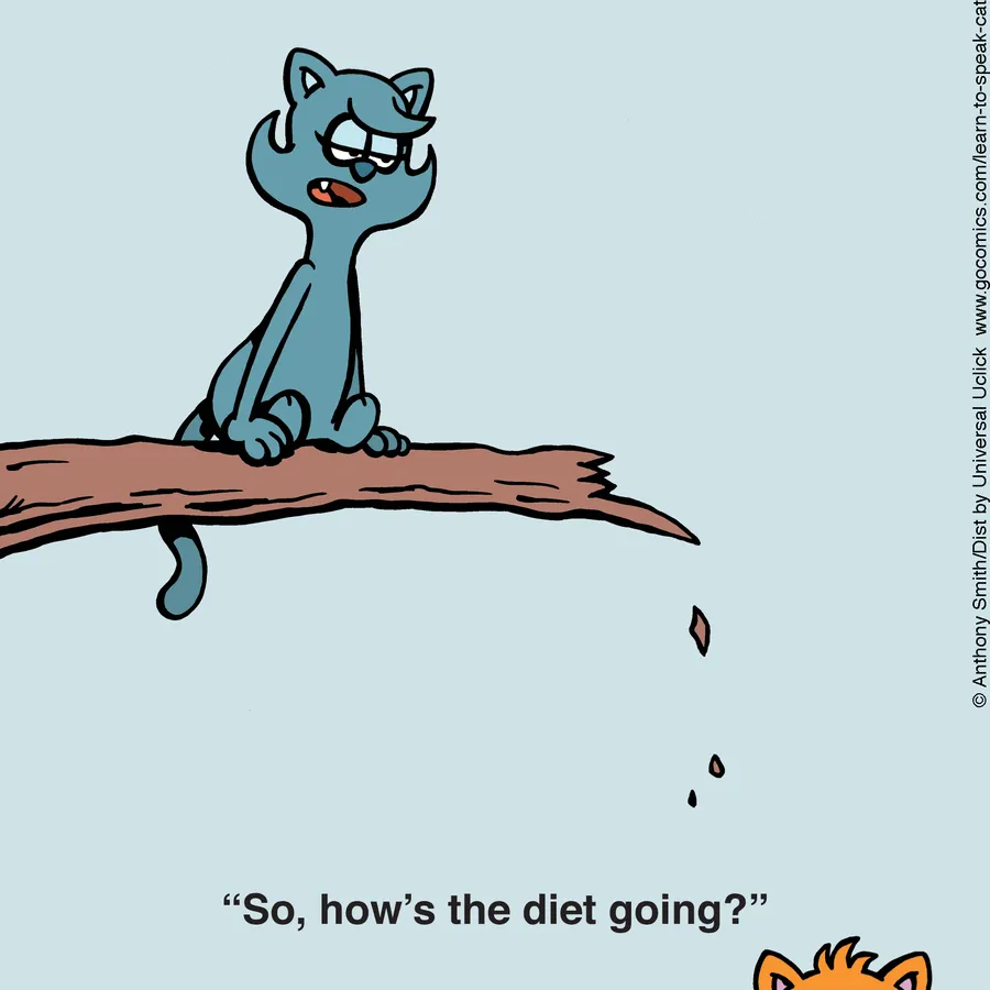 "Learn To Speak Cat": 30 One-Panel Comics Depicting The Daily Life Of A Cat