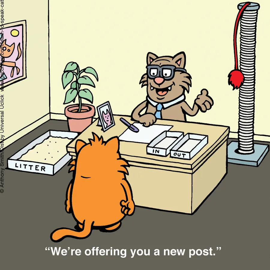 "Learn To Speak Cat": 30 One-Panel Comics Depicting The Daily Life Of A Cat