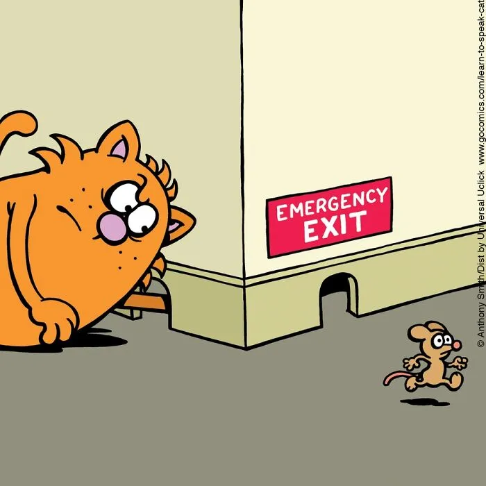 "Learn To Speak Cat": 30 One-Panel Comics Depicting The Daily Life Of A Cat