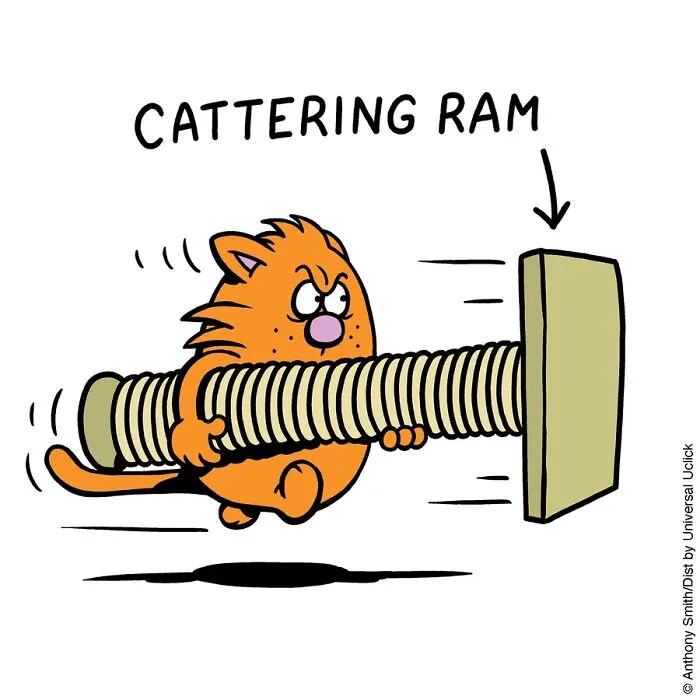 "Learn To Speak Cat": 30 One-Panel Comics Depicting The Daily Life Of A Cat