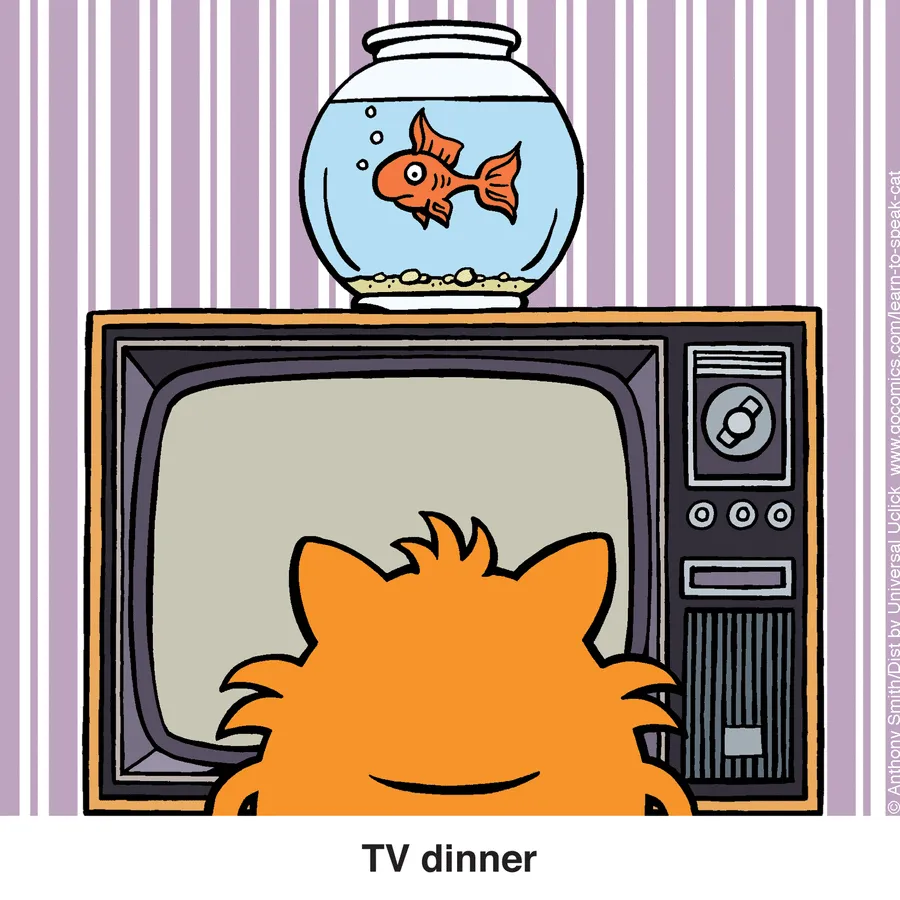 "Learn To Speak Cat": 30 One-Panel Comics Depicting The Daily Life Of A Cat