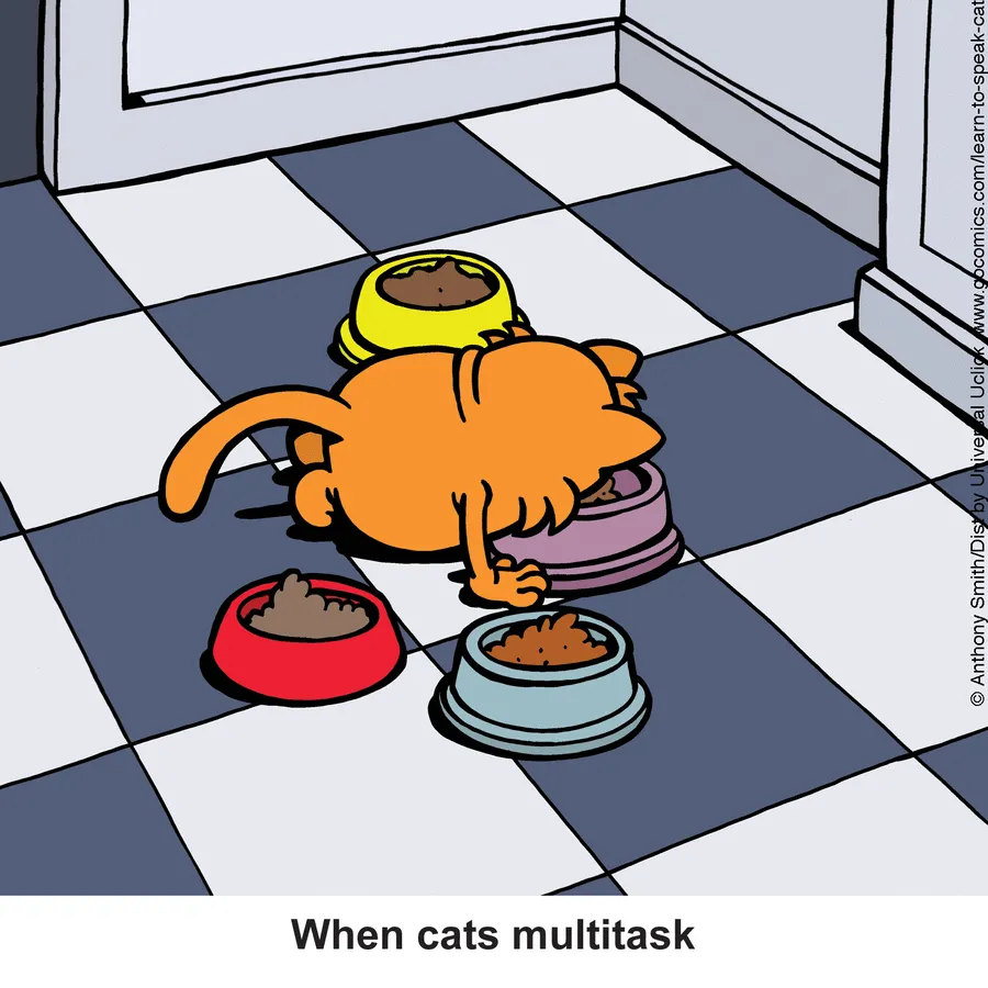 "Learn To Speak Cat": 30 One-Panel Comics Depicting The Daily Life Of A Cat