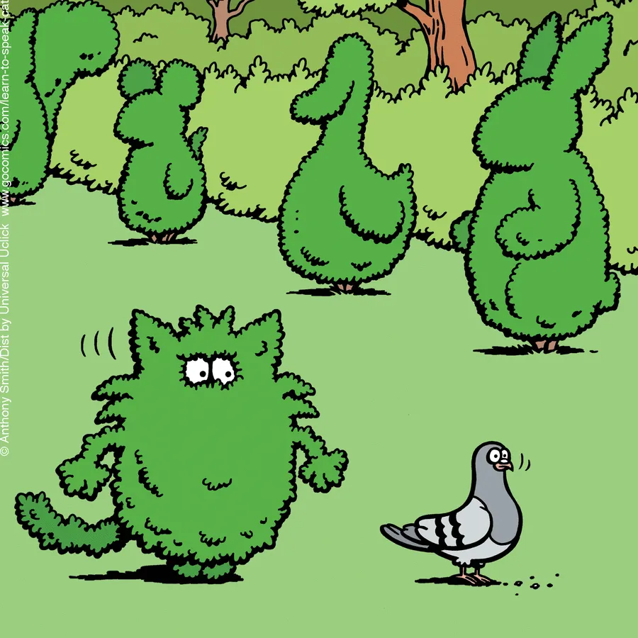 "Learn To Speak Cat": 30 One-Panel Comics Depicting The Daily Life Of A Cat