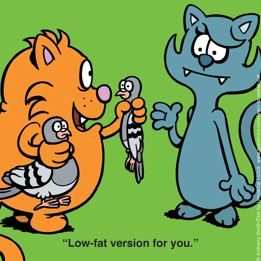 "Learn To Speak Cat": 30 One-Panel Comics Depicting The Daily Life Of A Cat