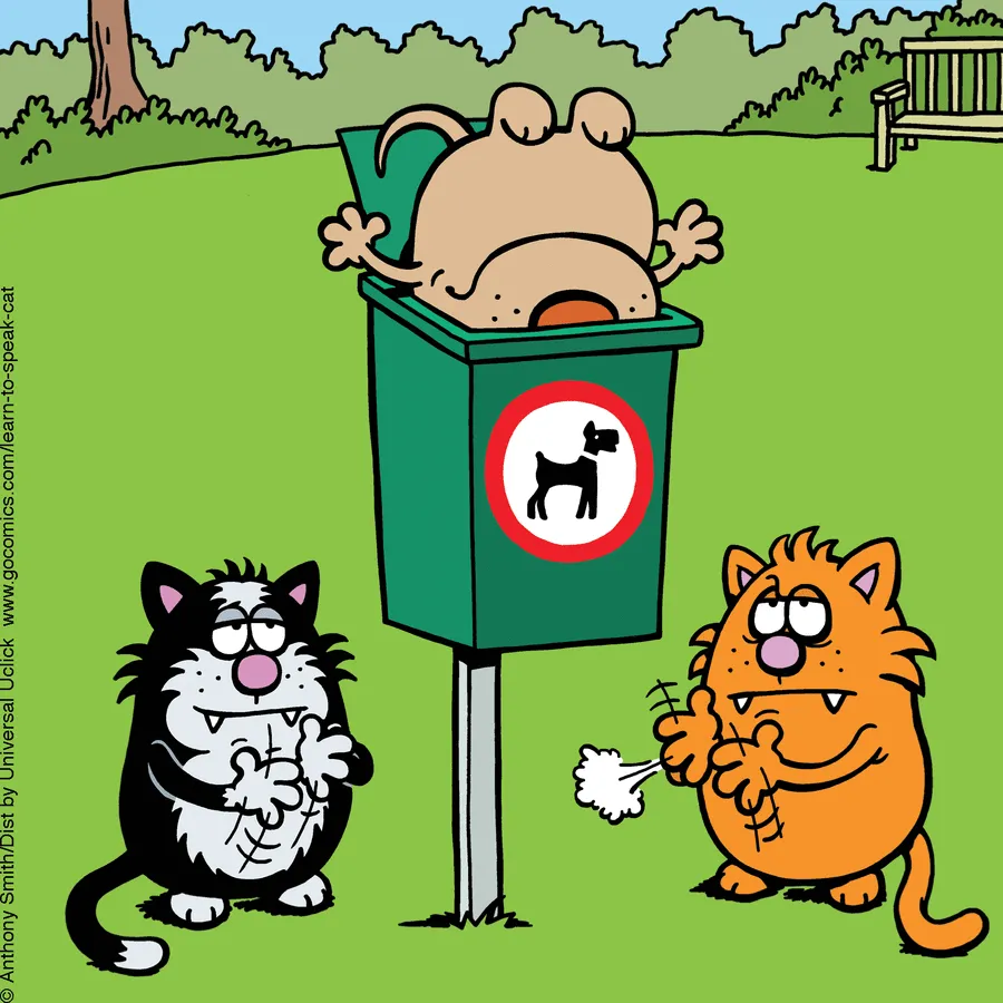 "Learn To Speak Cat": 30 One-Panel Comics Depicting The Daily Life Of A Cat