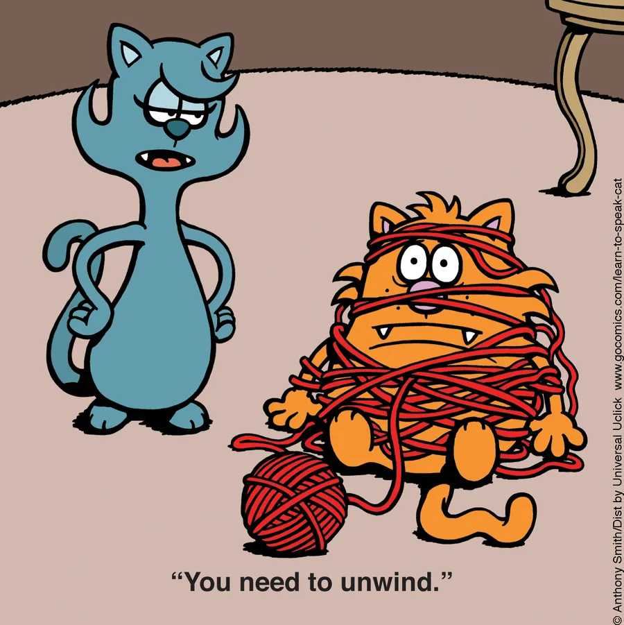 "Learn To Speak Cat": 30 One-Panel Comics Depicting The Daily Life Of A Cat