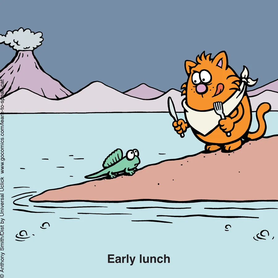 "Learn To Speak Cat": 30 One-Panel Comics Depicting The Daily Life Of A Cat
