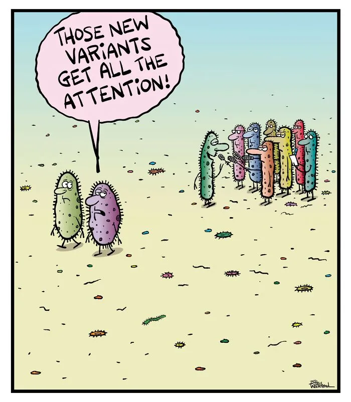 30 Funny One-Panel Comics By Bill Whitehead For A Quick Laugh