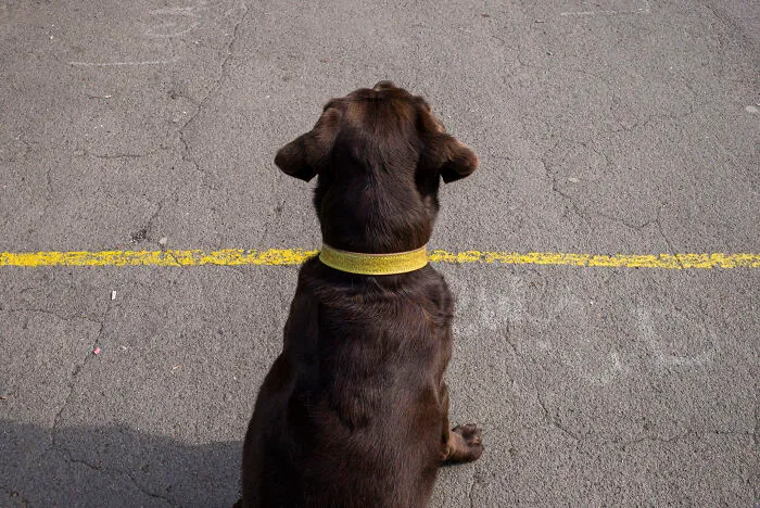 33 Funny Accidental Images That Were Taken At The Right Time And Place By This Street Photographer
