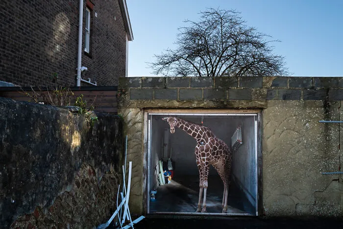 33 Funny Accidental Images That Were Taken At The Right Time And Place By This Street Photographer