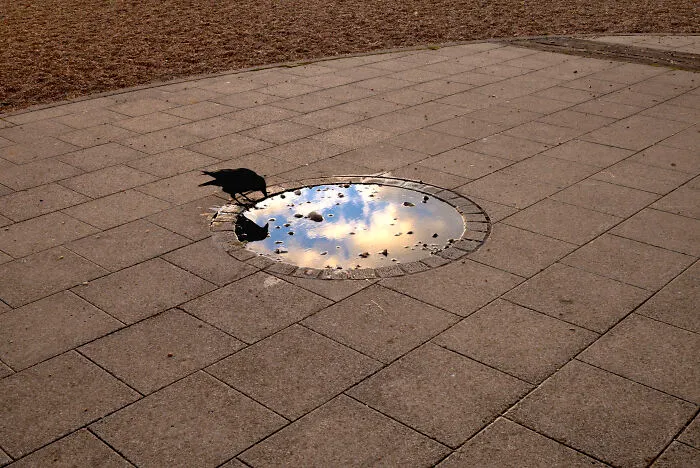33 Funny Accidental Images That Were Taken At The Right Time And Place By This Street Photographer