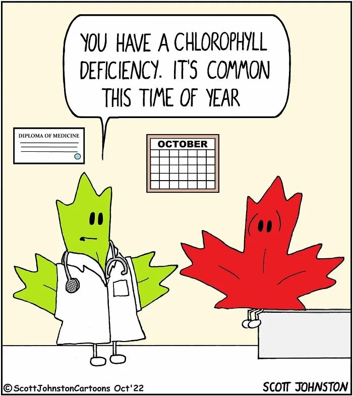 30 Funny One-Panel Comics By Canadian Cartoonist Scott Johnston (New Pics)