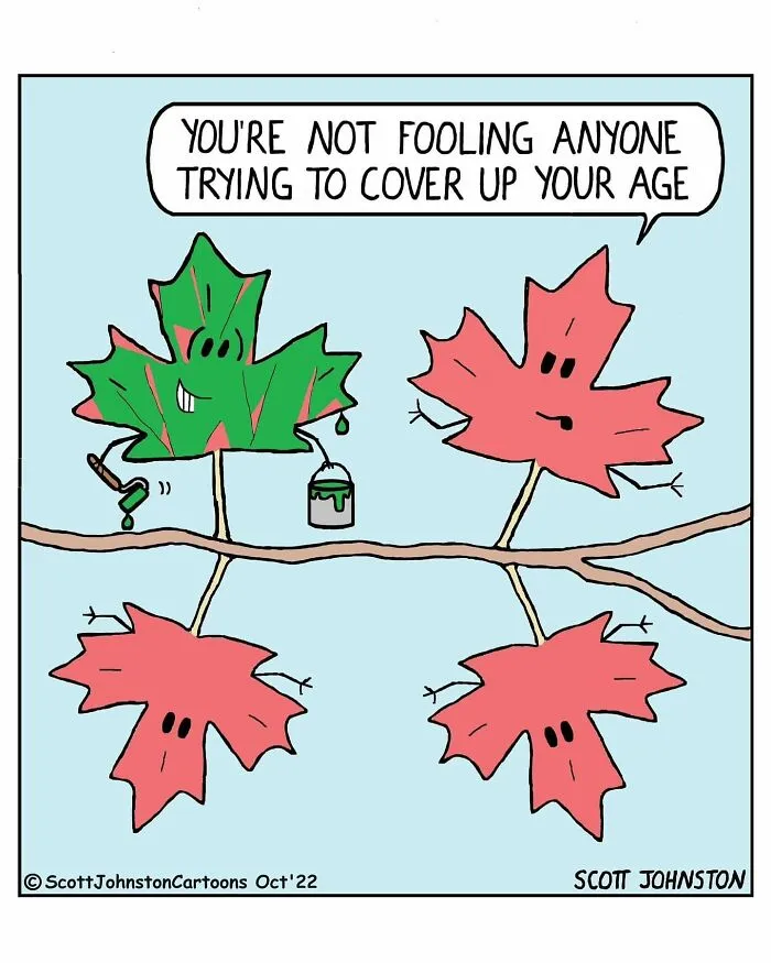 30 Funny One-Panel Comics By Canadian Cartoonist Scott Johnston (New Pics)