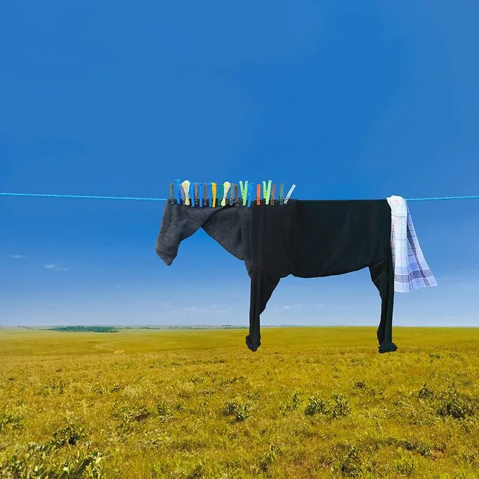 This Artist Created 21 Playful Animals From Laundry And Captured Them In Picturesque Landscapes