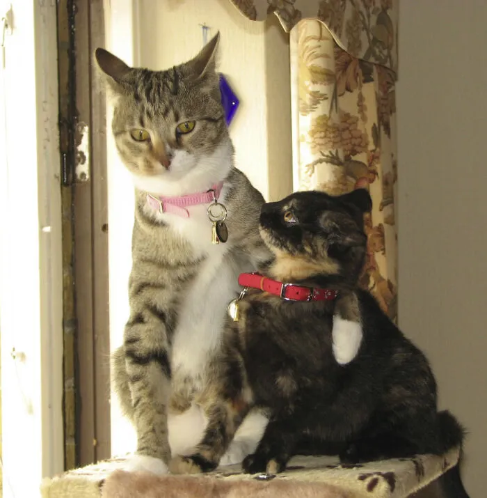 Wilma And Betty  From Sweeden