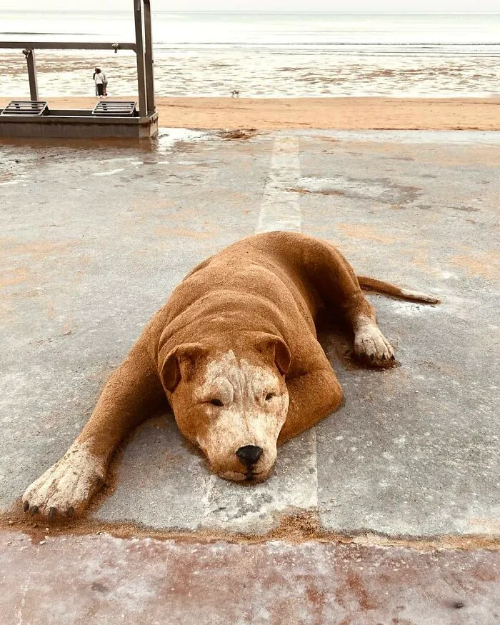 This Artist’s Sand Sculptures Are So Lifelike, They Might Fool You At First Glance (20 New Pics)