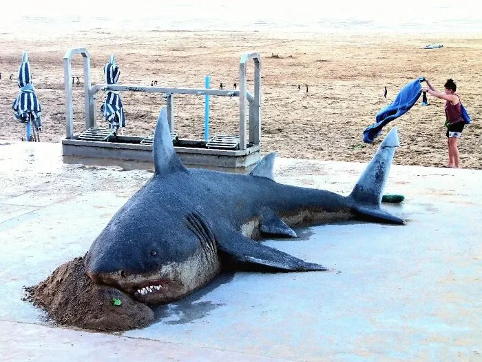 This Artist’s Sand Sculptures Are So Lifelike, They Might Fool You At First Glance (20 New Pics)