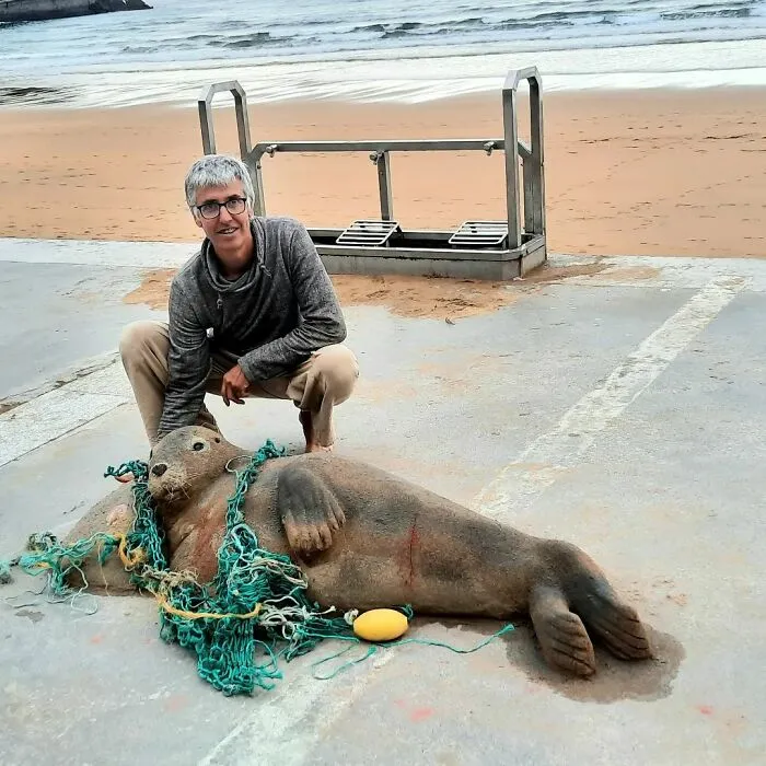 This Artist’s Sand Sculptures Are So Lifelike, They Might Fool You At First Glance (20 New Pics)