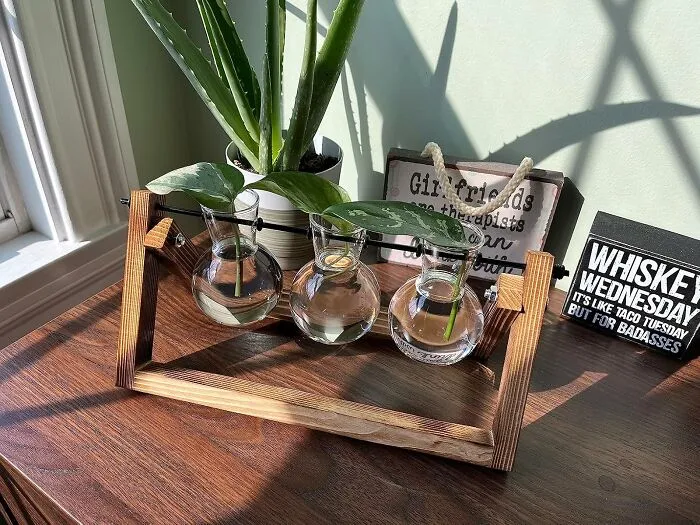  Propegate Your Own Greens With This Chic   <a Style="Display:inline;" Href="Https://Www.amazon.com/Terrarium-Planter-Tabletop-Hydroponics-Decoration/Dp/B07d29p5z1?crid=2m7wjt7kizv7p&dib=eyj2ijoimsj9.fqltqzfkcostg7fylhsirrjrfhpbfn5zfepxtyqxv4lf7ns3rawzsbwqqocwh6lsnozygio_6ixtsqw9wpx7ogxl1ldfce9a4txml17cfb5kkw6orsr9wac29pe1e3rneaskactodm2rikw7x_f3rntdu7hklofmyjbavnpmnzrvqkzxzvgeaqk1qhyzwo0efceuflzprnf1fygkpinrblwun2omm5cp1eldomunxo998bmlq6inzh3nbqqs4qbxjxldbm1mefy6j60kwjgorlfcvkb2mgaux1kei1pvjjm.ylnicetuf4vefklshf52gycrebqobmxrdaq50x9vxva&dib_tag=se&keywords=sustainable+home+decor&qid=1728284738&sprefix=sustainable+home+deco%2caps%2c218&sr=8-3&linkcode=ll1&tag=bpwolf-20&linkid=98b646f16f3b2d56ab6fd9cbdd455ea7&language=en_us&ref_=as_li_ss_tl" Target="_blank"><span Style="Font:inherit;color:#d74b1f;"> Plant Terarium</Span> 
