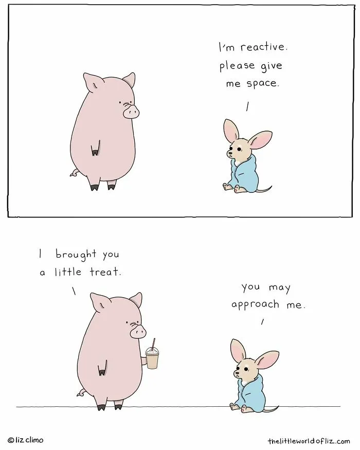 "The Simpsons" Animator Liz Climo Creates Humorous Comics Illustrating Cute Moments Of Talking Animals (30 New Pics)