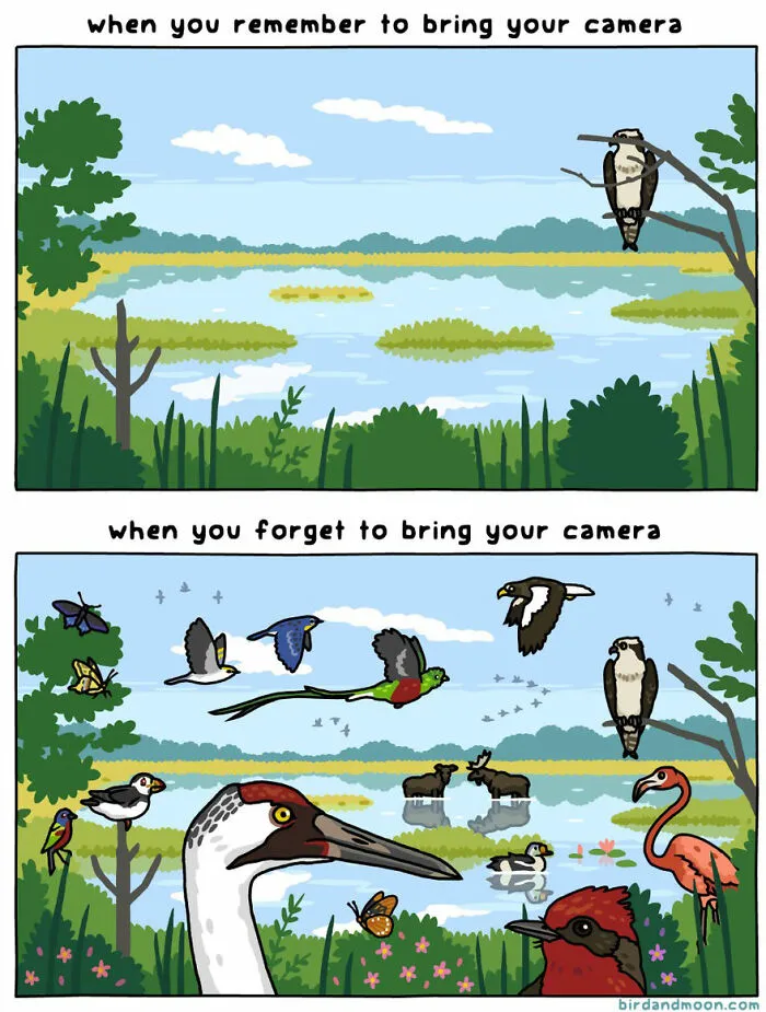 Artist Creates Comics Depicting Humorous Moments In Nature (20 New Pics)