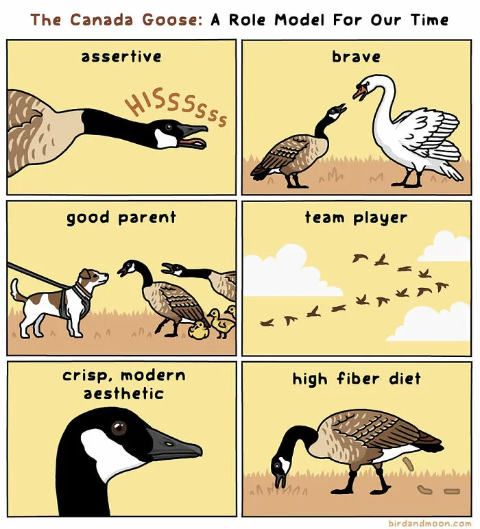Artist Creates Comics Depicting Humorous Moments In Nature (20 New Pics)