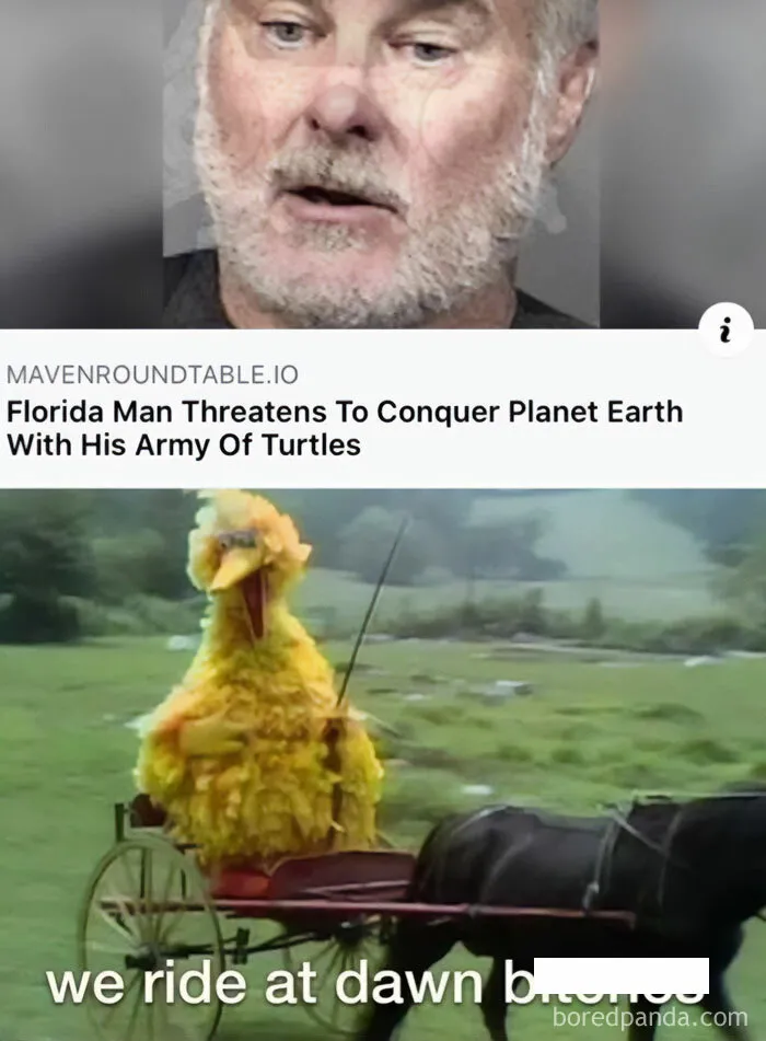 A Turtle Army