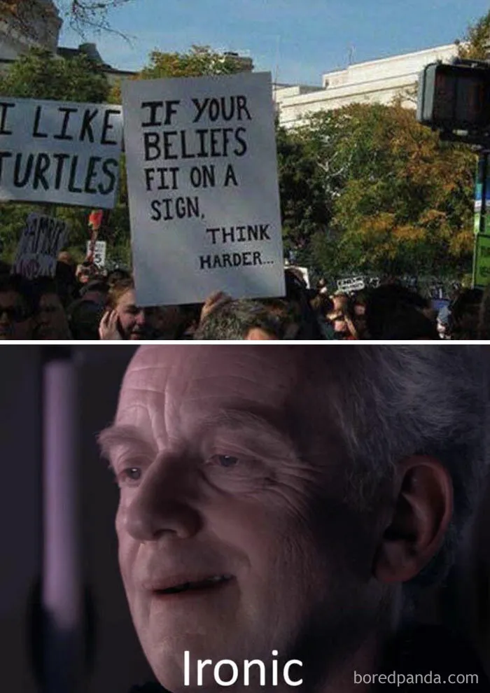 “When Your Love for Turtles Doesn’t Quite Fit the Narrative”